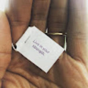 Meet your Posher, Ann